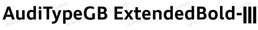 AudiTypeGB ExtendedBold字体转换